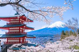 JAPON CEREZOS EN FLOR - SEMANA SANTA